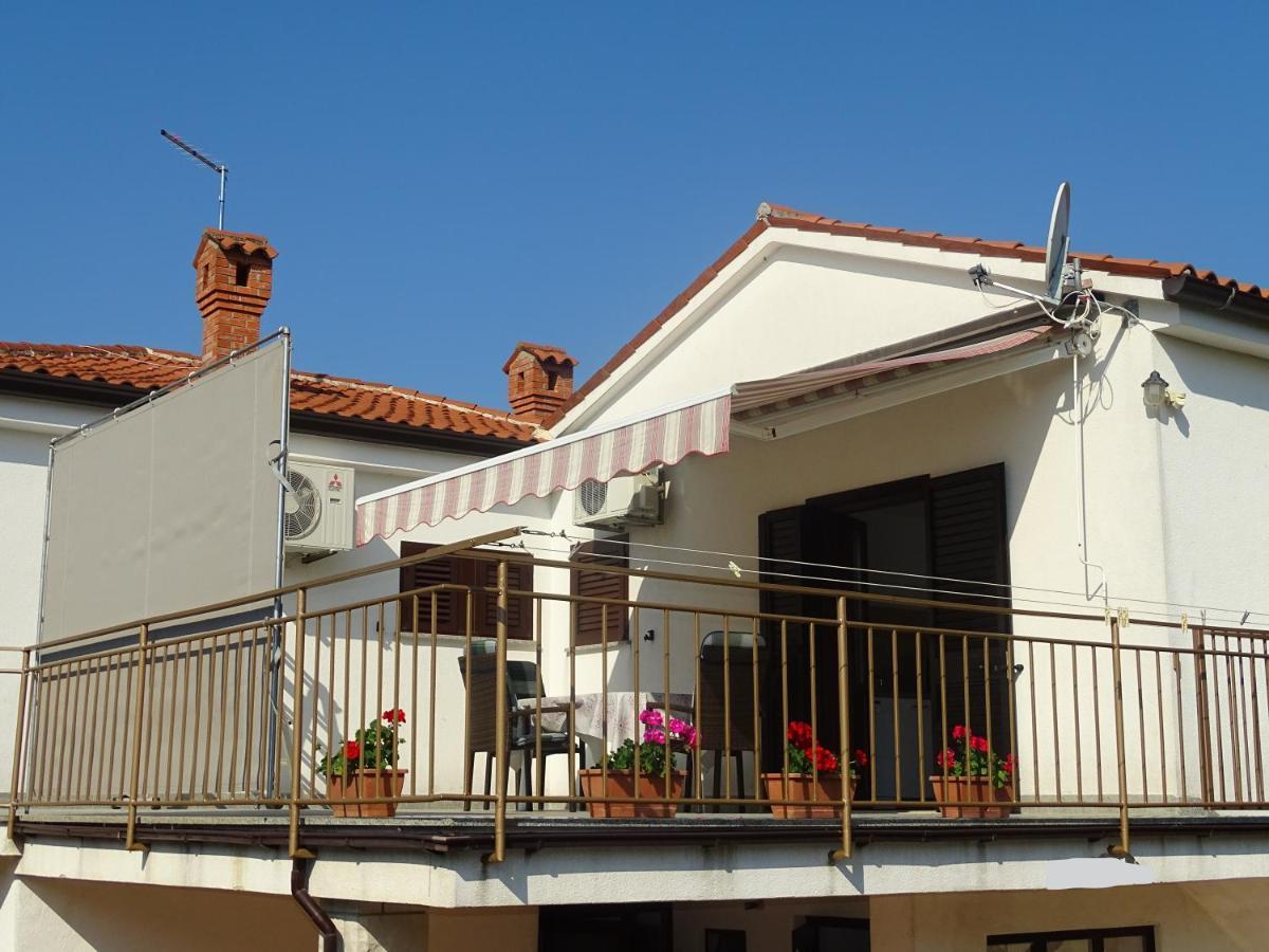 Olga Near The Novigrad (Istria)