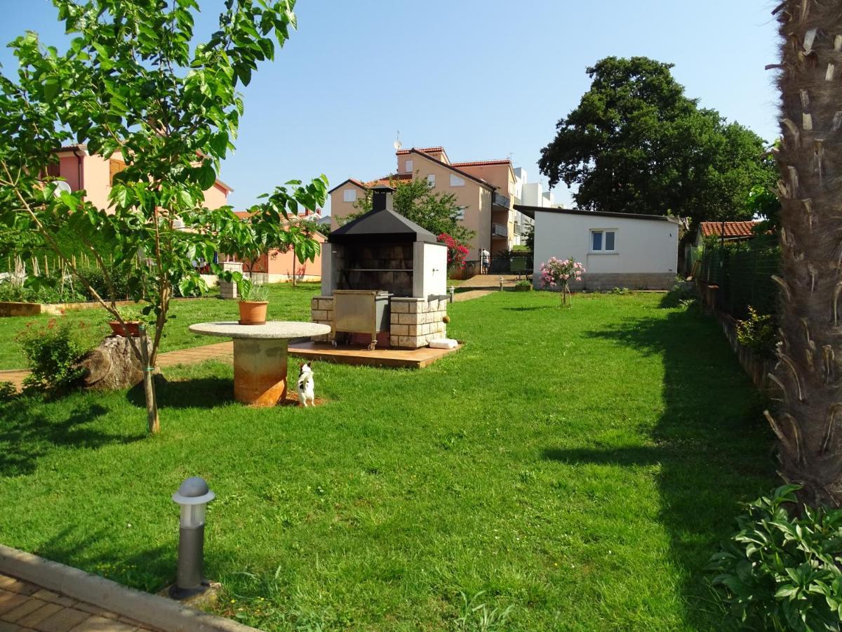 Apartament Olga Near The *